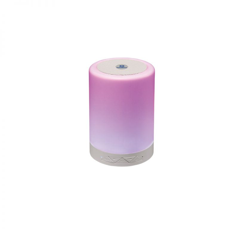 NASCO ENCEINTE BLUETOOTH – HIFI_B04
