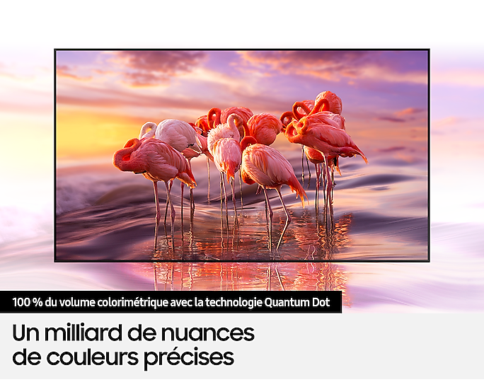 58" Q60 Series QLED Smart 4K TV - QA58Q60TAUXLY